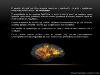 • El cerebro al igual que otros órganos (pulmones – respiración, corazón – circulación)
tiene una función natural… el aprendizaje.
• El aprendizaje es un proceso fisiológico, si comprendemos cómo se produce, cómo
aprende, comprende y recuerda nuestro cerebro podremos aprender y enseñar mejor, es
decir con mejores resultados.
• Cuando hablamos de aprendizaje también hablamos de supervivencia, ya que la misma
depende del conocimiento y control que tengamos del mundo exterior.
• Las teorías de aprendizaje se construyeron en base a observaciones externas de la
conducta.
• En el cerebro ocurren muchas cosas en paralelo, hay muchas interconexiones.
La comprensión de la complejidad de estas funciones es primordial para la educación.
CÉSAR OSWALDO NAVARRO ANTONIO
 