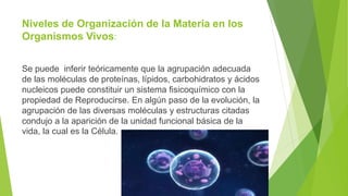 Niveles de Organización de la Materia en los
Organismos Vivos:
Se puede inferir teóricamente que la agrupación adecuada
de las moléculas de proteínas, lípidos, carbohidratos y ácidos
nucleicos puede constituir un sistema fisicoquímico con la
propiedad de Reproducirse. En algún paso de la evolución, la
agrupación de las diversas moléculas y estructuras citadas
condujo a la aparición de la unidad funcional básica de la
vida, la cual es la Célula.
 