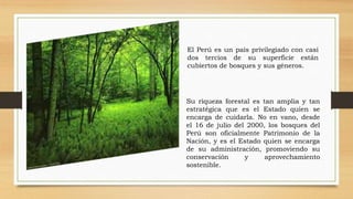 El Perú es un país privilegiado con casi
dos tercios de su superficie están
cubiertos de bosques y sus géneros.
Su riqueza forestal es tan amplia y tan
estratégica que es el Estado quien se
encarga de cuidarla. No en vano, desde
el 16 de julio del 2000, los bosques del
Perú son oficialmente Patrimonio de la
Nación, y es el Estado quien se encarga
de su administración, promoviendo su
conservación y aprovechamiento
sostenible.
 
