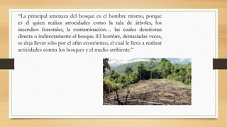 “La principal amenaza del bosque es el hombre mismo, porque
es él quien realiza atrocidades como la tala de árboles, los
incendios forestales, la contaminación… las cuales deterioran
directa o indirectamente el bosque. El hombre, demasiadas veces,
se deja llevar sólo por el afán económico, el cual le lleva a realizar
actividades contra los bosques y el medio ambiente.”
 