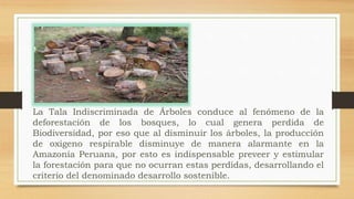 La Tala Indiscriminada de Árboles conduce al fenómeno de la
deforestación de los bosques, lo cual genera perdida de
Biodiversidad, por eso que al disminuir los árboles, la producción
de oxigeno respirable disminuye de manera alarmante en la
Amazonía Peruana, por esto es indispensable preveer y estimular
la forestación para que no ocurran estas perdidas, desarrollando el
criterio del denominado desarrollo sostenible.
 