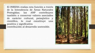 El INRENA realiza esta función a través
de la Intendencia de Áreas Naturales
Protegidas; las ANP contribuyen
también a conservar valores asociados
de carácter cultural, paisajístico y
científico, lo cual constituye una
positiva y significativa
contribución al desarrollo sostenible.
 