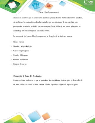 Cacao (Theobroma cacao)
el cacao es un árbol que en condiciones naturales puede alcanzar hasta ocho metros de altura,
sin embargo, las variedades cultivadas actualmente son injertadas, lo que significa una
propagación vegetativa artificial que une una porción de tejido de una planta sobre otra ya
asentada y rara vez sobrepasan los cuatro metros.
La taxonomía del cacao (Theobroma cacao) se describe de la siguiente manera
 Reino: plantae
 División: Magnoliophyta
 Clase: Magnoliopsida
 Familia: Malvaceae
 Género: Theobroma
 Especie: T. cacao
Producción Y Zonas De Producción
Para seleccionar un lote en el que se garanticen las condiciones óptimas para el desarrollo de
un buen cultivo de cacao, se debe cumplir con las siguientes exigencias agroecológicas.
 