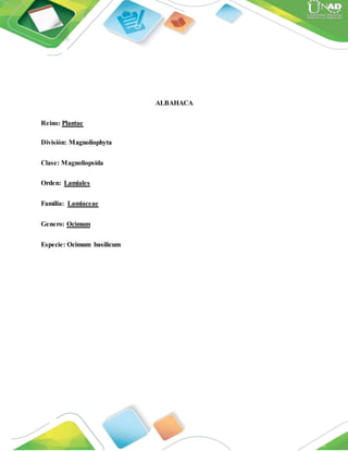 ALBAHACA
Reino: Plantae
División: Magnoliophyta
Clase: Magnoliopsida
Orden: Lamiales
Familia: Lamiaceae
Genero: Ocimum
Especie: Ocimum basilicum
 