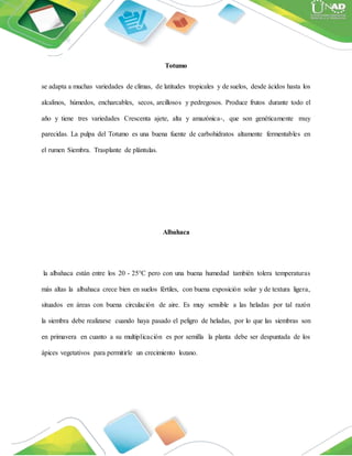 Totumo
se adapta a muchas variedades de climas, de latitudes tropicales y de suelos, desde ácidos hasta los
alcalinos, húmedos, encharcables, secos, arcillosos y pedregosos. Produce frutos durante todo el
año y tiene tres variedades Crescenta ajete, alta y amazónica-, que son genéticamente muy
parecidas. La pulpa del Totumo es una buena fuente de carbohidratos altamente fermentables en
el rumen Siembra. Trasplante de plántulas.
Albahaca
la albahaca están entre los 20 - 25°C pero con una buena humedad también tolera temperaturas
más altas la albahaca crece bien en suelos fértiles, con buena exposición solar y de textura ligera,
situados en áreas con buena circulación de aire. Es muy sensible a las heladas por tal razón
la siembra debe realizarse cuando haya pasado el peligro de heladas, por lo que las siembras son
en primavera en cuanto a su multiplicación es por semilla la planta debe ser despuntada de los
ápices vegetativos para permitirle un crecimiento lozano.
 