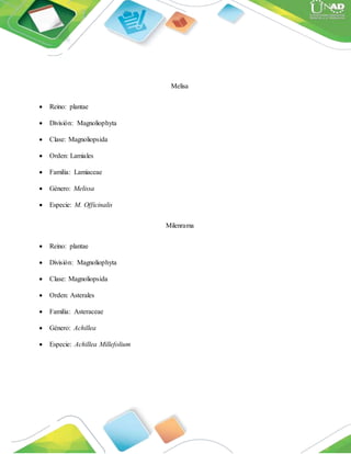 Melisa
 Reino: plantae
 División: Magnoliophyta
 Clase: Magnoliopsida
 Orden: Lamiales
 Familia: Lamiaceae
 Género: Melissa
 Especie: M. Officinalis
Milenrama
 Reino: plantae
 División: Magnoliophyta
 Clase: Magnoliopsida
 Orden: Asterales
 Familia: Asteraceae
 Género: Achillea
 Especie: Achillea Millefolium
 
