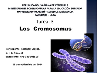 Tarea: 3 
Los Cromosomas 
Participante: Rosangel Crespo. 
C. I: 13.667.711 
Expediente: HPS-142-00151V 
16 de septiembre del 2014 
 