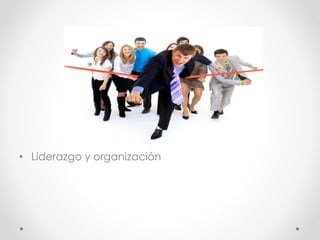 • Liderazgo y organización