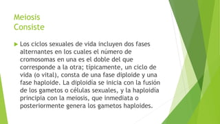Meiosis
Consiste
 Los ciclos sexuales de vida incluyen dos fases
alternantes en los cuales el número de
cromosomas en una es el doble del que
corresponde a la otra; típicamente, un ciclo de
vida (o vital), consta de una fase diploide y una
fase haploide. La diploidía se inicia con la fusión
de los gametos o células sexuales, y la haploidía
principia con la meiosis, que inmediata o
posteriormente genera los gametos haploides.
 