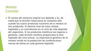 Meiosis
Consiste
 El núcleo del meiocito original era diploide y 2x, de
modo que la división reduccional se completa sólo
cuando los cuatro productos nucleares de la meiosis se
han producido. El destino final de estas células
haploides y su contribución en el ciclo de vida depende
del organismo. Si los productos meióticos son esporas o
gametos, cada división meiótica proporciona la fase
haploide del ciclo sexual. La importancia genética de la
meiosis reside en la producción de combinaciones
nuevas de alelos en cada genoma haploide.
 