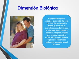 Dimensión Biológica
Comprende aquellos
aspectos que desde el punto
de vista físico y orgánico
tienen que ver con la
expresión sexual. Se integran
en ella, por tanto, distintos
aparatos y órganos regidos
por el cerebro que, tras
recibir información desde los
órganos de los sentidos,
elabora la respuesta sexual
humana.
 