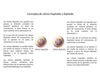 Concepto de célula Haploide y Diploide
Las células diploides son aquellas que
poseen la dotación completa de
material genético, es decir de
cromosomas. A estas células se las
suele nombrar con la abreviación 2n.
En el caso del ser humano las células
diploides tienen 46 cromosomas, los
que se aparean en 23 pares, 22
autosomas y un par sexual.
Las células diploides se pueden dividir
por medio de mitosis o meiosis. En el
primer caso originan células dos
diploides y en el segundo cuatro
haploides.
Las células diploides también se
llaman células somáticas para
diferenciarlas de las gametas (óvulos y
espermatozoides)que son haploides.
Las células haploides son aquellas que
poseen la mitad de la dotación
completa de material genético, es
decir de cromosomas. A estas células
se las suele nombrar con la
abreviación n.
En el caso del ser humano las células
haploides tienen 23 cromosomas, 22
autosomas y uno sexual.
Las células haploides no se dividen ni
por medio de mitosis ni meiosis. Se
originan a partir de células diploides
por medio de meiosis.
Las células haploides también se
llaman células sexuales o gametas para
diferenciarlas de las gametas y son los
óvulos y los espermatozoides..
 