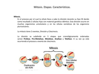 Mitosis. Etapas. Características.
Mitosis,
Es el proceso por el cual la célula lleva a cabo la división durante su fase M dando
como resultado 2 células hijas con material genético idéntico. Esta división ocurre en
muchos organismos unicelulares y en las células somáticas de los organismo
pluricelulares.
La mitosis tiene 2 eventos, División y Citocinesis.
La división se subdivide en 5 etapas que cronológicamente ordenadas
serían Profase, Pro-Metafase, Metafase, Anafase y Telofase. A su vez ya está
ocurriendo el proceso u evento de citocinesis.
 