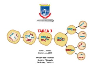 Abner C. Báez S.
Septiembre, 2015
Universidad Yacambú
Carrera: Psicología
Genética y Conducta
TAREA 3
 