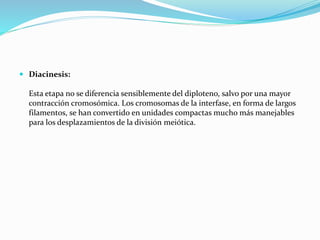  Diacinesis:
Esta etapa no se diferencia sensiblemente del diploteno, salvo por una mayor
contracción cromosómica. Los cromosomas de la interfase, en forma de largos
filamentos, se han convertido en unidades compactas mucho más manejables
para los desplazamientos de la división meiótica.
 