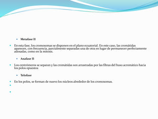  Metafase II
 En esta fase, los cromosomas se disponen en el plano ecuatorial. En este caso, las cromátidas
aparecen, con frecuencia, parcialmente separadas una de otra en lugar de permanecer perfectamente
adosadas, como en la mitosis.
 Anafase II
 Los centrómeros se separan y las cromátidas son arrastradas por las fibras del huso acromático hacia
los polos opuestos
 Telofase
 En los polos, se forman de nuevo los núcleos alrededor de los cromosomas.


 