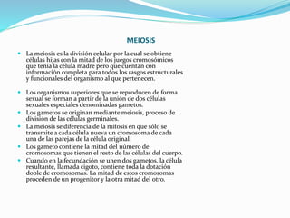 MEIOSIS
 La meiosis es la división celular por la cual se obtiene
células hijas con la mitad de los juegos cromosómicos
que tenía la célula madre pero que cuentan con
información completa para todos los rasgos estructurales
y funcionales del organismo al que pertenecen.
 Los organismos superiores que se reproducen de forma
sexual se forman a partir de la unión de dos células
sexuales especiales denominadas gametos.
 Los gametos se originan mediante meiosis, proceso de
división de las células germinales.
 La meiosis se diferencia de la mitosis en que sólo se
transmite a cada célula nueva un cromosoma de cada
una de las parejas de la célula original.
 Los gameto contiene la mitad del número de
cromosomas que tienen el resto de las células del cuerpo.
 Cuando en la fecundación se unen dos gametos, la célula
resultante, llamada cigoto, contiene toda la dotación
doble de cromosomas. La mitad de estos cromosomas
proceden de un progenitor y la otra mitad del otro.
 