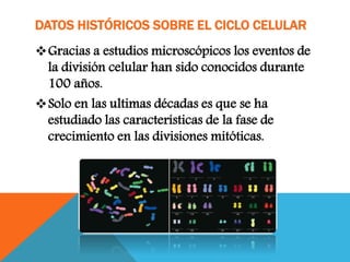 DATOS HISTÓRICOS SOBRE EL CICLO CELULAR
Gracias a estudios microscópicos los eventos de
la división celular han sido conocidos durante
100 años.
Solo en las ultimas décadas es que se ha
estudiado las características de la fase de
crecimiento en las divisiones mitóticas.
 