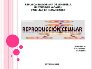 REPUBICA BOLIVARIANA DE VENEZUELA
UNIVERSIDAD YACAMBU
FACULTAD DE HUMANIDADES
INTREGRANTE:
LUISA MEDINA
C.I:20319761
SEPTIEMBRE, 2015
 
