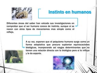 Instinto en humanos
Diferentes áreas del saber han volcado sus investigaciones en
comprobar que el ser humano carece de instinto, aunque si se
nacen con otros tipos de mecanismos mas simple como el
reflejo.
A su vez, exponen que el psiquismo humano surge como un
forma adaptativa que procura suplantar equivocaciones
biológicas, incorporando así rasgos determinantes que no
tienen una relación directa con lo biológico pero si lo influye
y le da soporte.
 