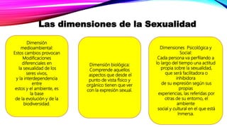 Las dimensiones de la Sexualidad
Dimensiones Psicológica y
Social:
Cada persona va perfilando a
lo largo del tiempo una actitud
propia sobre la sexualidad,
que será facilitadora o
inhibidora
de su expresión según sus
propias
experiencias, las referidas por
otras de su entorno, el
ambiente
social y cultural en el que está
Inmersa.
Dimensión biológica:
Comprende aquellos
aspectos que desde el
punto de vista físico y
orgánico tienen que ver
con la expresión sexual.
Dimensión
medioambiental:
Estos cambios provocan
Modificaciones
diferenciales en
la sexualidad de los
seres vivos,
y la interdependencia
entre
estos y el ambiente, es
la base
de la evolución y de la
biodiversidad.
 