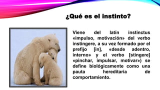 Viene del latín instinctus
«impulso, motivación» del verbo
instingere, a su vez formado por el
prefijo [in], «desde adentro,
interno» y el verbo [stingere]
«pinchar, impulsar, motivar») se
define biológicamente como una
pauta hereditaria de
comportamiento.
¿Qué es el instinto?
 
