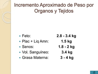 Incremento Aproximado de Peso por 
Organos y Tejidos 
 Feto: 
 Plac + Liq Amn: 
 Senos: 
 Vol. Sanguíneo: 
 Grasa Materna: 
2.8 - 3.4 kg 
1.5 kg 
1.8 - 2 kg 
3.4 kg 
3 - 4 kg 
 