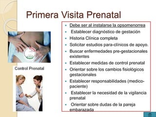 Primera Visita Prenatal 
 Debe ser al instalarse la opsomenorrea 
 Establecer diagnóstico de gestación 
 Historia Clínica completa 
 Solicitar estudios para-clínicos de apoyo. 
 Buscar enfermedades pre-gestacionales 
existentes 
 Establecer medidas de control prenatal 
 Orientar sobre los cambios fisiológicos 
gestacionales 
 Establecer responsabilidades (medico-paciente) 
 Establecer la necesidad de la vigilancia 
prenatal 
 Orientar sobre dudas de la pareja 
embarazada 
 