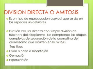 DIVISION DIRECTA O AMITOSIS
 Es un tipo de reproduccion asexual que se da en
las especies unicelulares.
 División celular directa con simple división del
núcleo y del citoplasma. No comprende las etapas
complejas de separación de la cromatina del
cromosoma que ocurren en la mitosis.
Tres tipo:
 Fisión binaria o bipartición
 Gemación
 Esporulación
 