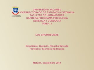 UNIVERSIDAD YACAMBU 
VICERRECTORADO DE ESTUDIOS A DISTANCIA 
FACULTAD DE HUMANIDADES 
CARRERA-PROGRAMA PSICOLOGÍA 
GENETICA Y CONDUCTA 
TAREA 3 
LOS CROMOSOMAS 
Estudiante: Guzmán, Ninoska Delvalle 
Profesora: Xiomara Rodríguez 
Maturín, septiembre 2014 
 