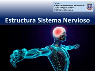 Tarea#3
Catedra: Fundamento de Neurociencias
Alumno: Migdali Romero
Prof: Xiomara Rodriguez
 