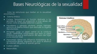 Tarea3 psicofisiologia del instinto sexual | PPTX