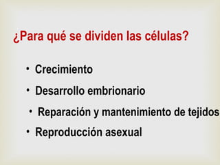 ¿Para qué se dividen las células?
• Crecimiento
• Reparación y mantenimiento de tejidos
• Desarrollo embrionario
• Reproducción asexual
 