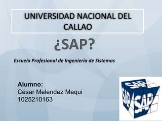 UNIVERSIDAD NACIONAL DEL
CALLAO

Escuela Profesional de Ingeniería de Sistemas

Alumno:
César Melendez Maqui
1025210163

 