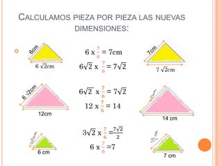 CALCULAMOS PIEZA POR PIEZA LAS NUEVAS
           DIMENSIONES:






    12cm
                               14 cm




    6 cm
                                7 cm
 