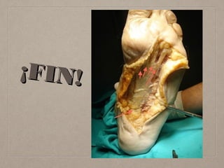 ¡F I N !
– Juan López

 