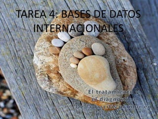 TAREA 4: BASES DE DATOS
INTERNACIONALES

 