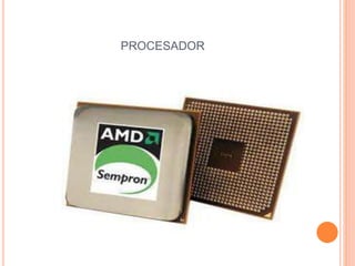 PROCESADOR
 
