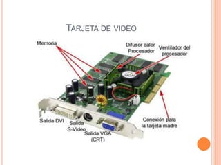 TARJETA DE VIDEO
 