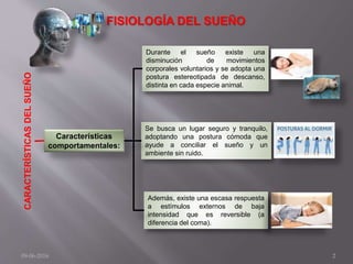 FISIOLOGÍA DEL SUEÑOCARACTERÍSTICASDELSUEÑO
Además, existe una escasa respuesta
a estímulos externos de baja
intensidad que es reversible (a
diferencia del coma).
Características
comportamentales:
Durante el sueño existe una
disminución de movimientos
corporales voluntarios y se adopta una
postura estereotipada de descanso,
distinta en cada especie animal.
Se busca un lugar seguro y tranquilo,
adoptando una postura cómoda que
ayude a conciliar el sueño y un
ambiente sin ruido.
09-06-2016 2
 
