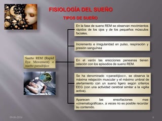 Sueño REM (Rapid
Eye Movement) o
sueño paradójico
Aparecen las ensoñaciones mas
«cinematográficas», a veces no es posible recordar
su contenido.
En la fase de sueno REM se observan movimientos
rápidos de los ojos y de los pequeños músculos
faciales.
Incremento e irregularidad en pulso, respiración y
presión sanguínea
En el varón las erecciones peneanas tienen
relación con los episodios de sueno REM.
Se ha denominado ≪paradójico≫, se observa la
máxima relajación muscular y el máximo umbral de
alertamiento con un sueno ligero según criterios
EEG (con una actividad cerebral similar a la vigilia
activa).
09-06-2016 6
FISIOLOGÍA DEL SUEÑO
TIPOS DE SUEÑO
 