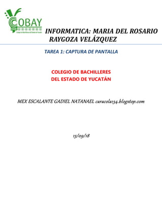 INFORMATICA: MARIA DEL ROSARIO
RAYGOZA VELÁZQUEZ
TAREA 1: CAPTURA DE PANTALLA
COLEGIO DE BACHILLERES
DEL ESTADO DE YUCATÁN
MEX ESCALANTE GADIEL NATANAEL caracola134.blogstop.com
15/09/18
 