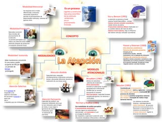 MODALIDADESModalidad Sostenida
Atención Selectiva
debe mantenerse consciente
En una tarea y poder
ocuparse de ella por
un periodo de
tiempo
prolongado
Es la habilidad de
responder a los
aspectos esenciales
de una tarea o situación y
pasar por
alto o
a aquellas que son irrelevantes
MODELOS
ATENCIONALES
Norman y Shallice (1980)
Mesulan (1985)
Posner y Petersen
(1.990)
Stus y Benson (1995)
Dos modalidades de análisis perceptivo
El procesamiento automático
uno que regula los automatismos
atencionales y el controlado el cual
se encarga de planificar,
dar respuesta y supervisar la atención ante
situaciones novedosas infrecuentes o distintas.
Constituido por 4 Componentes:
Sistema Reticular ( alerta y vigilancia)
Sist. Límbico y giro linguado ( motivación en
procesos de atención)
Sist. Frontal ( coordinar programas motores)
Sist. Parietal ( encargado de realizar mapa
Sensorial interno)
Broadbert (1982)
Destaca la naturaleza
selectiva de la atención.
Filtros atencionales:
Consiste en seleccionar la parte
apropiada de la información
recibida que se necesite,
excluyendo la restante.
Filtro perceptual: capacidad limitada
compensada gracias a la memoria a
corto plazo
Posner y
Petersen
(1.990)
Los sistemas se articulan
Sistemas interdependiente:
matriz intencional : la capacidad
general para el procesamiento de la
información, el nivel de vigilancia y la
resistencia a la interferencia.
el vector atencional: regular la
dirección de atención.
La atención se procesa a través
sistema frontal-diencefálico , incluye:
Sistema reticular activador ascendente,:
niveles tónicos de alerta.
Proyecciones talámicas difusas implicadas en l
os cambios básicos del nivel de alerta.
Sistema Fronto-talámico, bajo la influencia
del sistema reticular activador ascendente.
Que actúa como filtro
De los estímulos
ambientales
ara un
procesamiento
Profundo.
Posner y
Petersen (1.990)
Posner y Petersen (1990)
Dos sistemas anatómicos:
Sistema de atención posterior
formado por los .
localizaciones visuales, atención
involuntaria y con la respuesta de orientación
Sistema de orientación anterior:
identificar eventos sensoriales o semánticos y está
relacionado con el control consciente y voluntario
de la atención focalizada. formado por el giro
linguado anterior y las áreas frontales.
Modalidad Atencional
Da respuesta de un modo
diferenciado a estímulos
sensoriales específicos.
permite el procesamiento de
determinados estímulos, mientras se
ignoran otros.
Modalidad Focalizada
Naturaleza sensorial
fases iniciales del
procesamiento de
la atención.
un proceso perceptivo que
realiza una selección entre varios
estímulos después de producirse
la recepción sensorial inicial.
Atención Excluyente
Atención dividida
Capacidad para responder
simultáneamente a diferentes estímulos y
tareas o demandas diferentes durante la
realización de una misma tarea.
Capacidad de producir una
respuesta inhibiendo otras que
no son relevantes para el logro
de metas, lo que exige la
ignorancia de estímulos
irrelevantes para
la realización de
una tarea.
Es un proceso
cognitivo y constructivo
CONCEPTO
 