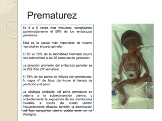 Prematurez 
Es 5 a 6 veces más frecuente, complicando 
aproximadamente el 50% de los embarazos 
gemelares. 
Esta es la causa más importante de muerte 
neonatal en el parto gemelar. 
El 50 al 70% de la mortalidad Perinatal ocurre 
con anterioridad a las 30 semanas de gestación. 
La duración promedio del embarazo gemelar es 
de 262 días (37 semanas). 
El 78% de los partos de trillizos son prematuros. 
A mayor nº de fetos disminuye el tiempo de 
gestación y el peso. 
La etiología probable del parto prematuro se 
debería a la sobredistensión uterina, y 
probablemente la exposición de las membranas 
ovulares a través del cuello uterino 
frecuentemente dilatado, también la disminución 
del flujo sanguíneo uterino podría tener un rol 
etiológico. 
 