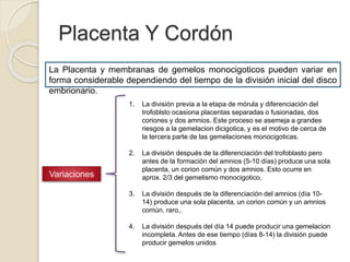 Placenta Y Cordón 
La Placenta y membranas de gemelos monocigoticos pueden variar en 
forma considerable dependiendo del tiempo de la división inicial del disco 
embrionario. 
Variaciones 
1. La división previa a la etapa de mórula y diferenciación del 
trofoblsto ocasiona placentas separadas o fusionadas, dos 
coriones y dos amnios. Este proceso se asemeja a grandes 
riesgos a la gemelacion dicigotica, y es el motivo de cerca de 
la tercera parte de las gemelaciones monocigoticas. 
2. La división después de la diferenciación del trofoblasto pero 
antes de la formación del amnios (5-10 días) produce una sola 
placenta, un corion común y dos amnios. Esto ocurre en 
aprox. 2/3 del gemelismo monocigotico. 
3. La división después de la diferenciación del amnios (día 10- 
14) produce una sola placenta, un corion común y un amnios 
común. raro,. 
4. La división después del día 14 puede producir una gemelacion 
incompleta. Antes de ese tiempo (días 8-14) la división puede 
producir gemelos unidos 
 