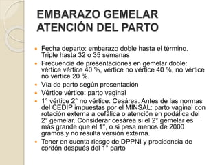 EMBARAZO GEMELAR 
ATENCIÓN DEL PARTO 
 Fecha departo: embarazo doble hasta el término. 
Triple hasta 32 o 35 semanas 
 Frecuencia de presentaciones en gemelar doble: 
vértice vértice 40 %, vértice no vértice 40 %, no vértice 
no vértice 20 %. 
 Vía de parto según presentación 
 Vértice vértice: parto vaginal 
 1° vértice 2° no vértice: Cesárea. Antes de las normas 
del CEDIP impuestas por el MINSAL: parto vaginal con 
rotación externa a cefálica o atención en podálica del 
2° gemelar. Considerar cesárea si el 2° gemelar es 
más grande que el 1°, o si pesa menos de 2000 
gramos y no resulta versión externa. 
 Tener en cuenta riesgo de DPPNI y procidencia de 
cordón después del 1° parto 
 