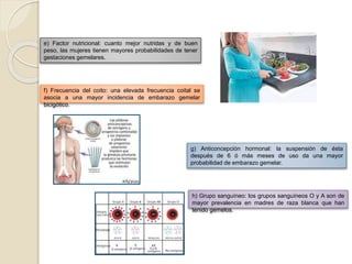 e) Factor nutricional: cuanto mejor nutridas y de buen 
peso, las mujeres tienen mayores probabilidades de tener 
gestaciones gemelares. 
f) Frecuencia del coito: una elevada frecuencia coital se 
asocia a una mayor incidencia de embarazo gemelar 
bicigótico. 
g) Anticoncepción hormonal: la suspensión de ésta 
después de 6 ó más meses de uso da una mayor 
probabilidad de embarazo gemelar. 
h) Grupo sanguíneo: los grupos sanguíneos O y A son de 
mayor prevalencia en madres de raza blanca que han 
tenido gemelos. 
 
