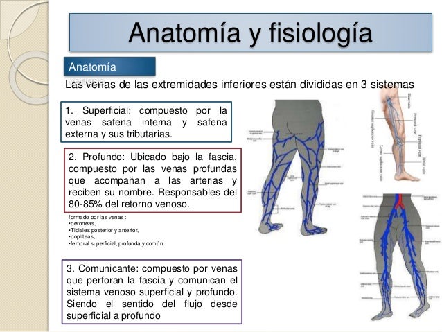 El centro flebologii en baumanskoy los vacantes de la enfermera