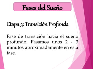 Fase de transición hacia el sueño
profundo. Pasamos unos 2 - 3
minutos aproximadamente en esta
fase.
Etapa 3: Transición Profunda
Fases del Sueño
 