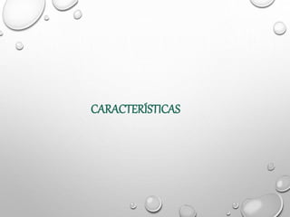 CARACTERÍSTICAS
 